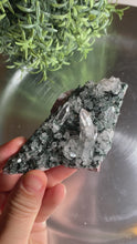 Load and play video in Gallery viewer, New found - green chlorite lemurian quartz cluster 14
