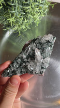 Load and play video in Gallery viewer, New found - green chlorite lemurian quartz cluster 14