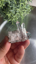 Load and play video in Gallery viewer, New found - green chlorite lemurian quartz cluster 23