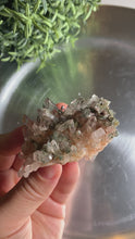 Load and play video in Gallery viewer, New found - green chlorite lemurian quartz cluster 18