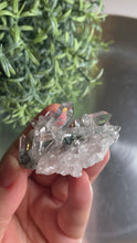 Load and play video in Gallery viewer, New found - green chlorite lemurian quartz 24
