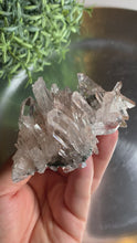 Load and play video in Gallery viewer, New found - green chlorite pink lemurian quartz cluster : Columbia quartz 17

