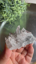 Load and play video in Gallery viewer, New found - green chlorite lemurian quartz cluster 15