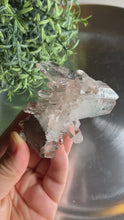 Load and play video in Gallery viewer, New found - green chlorite pink lemurian quartz cluster 16
