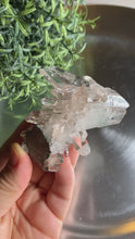 Load and play video in Gallery viewer, New found - green chlorite pink lemurian quartz cluster 16
