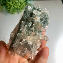 Load image into Gallery viewer, New found - green chlorite lemurian quartz cluster / Columbia quartz