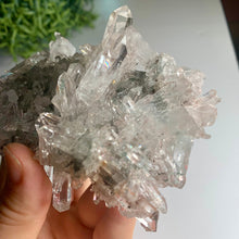 Load image into Gallery viewer, New found - green chlorite lemurian quartz cluster / Columbia quartz