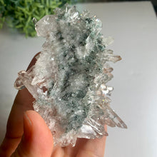 Load image into Gallery viewer, New found - green chlorite lemurian quartz cluster / Columbia quartz