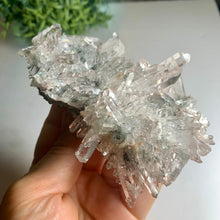 Load image into Gallery viewer, New found - green chlorite lemurian quartz cluster / Columbia quartz