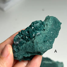 Load image into Gallery viewer, Marshy Botryoidal Chalcedony | Textured Green Chalcedony Crystal from India | Organic Bubble Form Mineral Specimen
