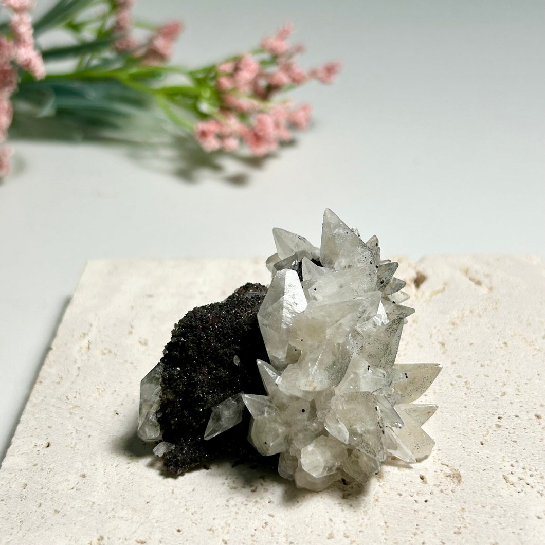 Dogtooth Calcite Cluster with Anatase Inclusions on Black Matrix | Natural Crystal Specimen from China