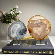 Top Quality Brazilian Agate Slice – Natural Banding, Druzy Texture & Warm Earth Tones