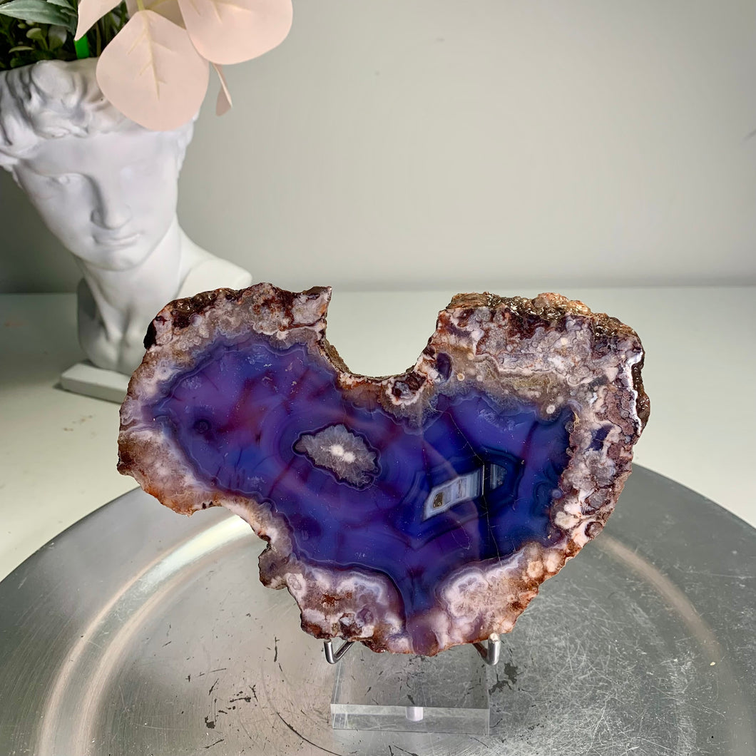 High quality - blue flower agate slab/slice (natural color)