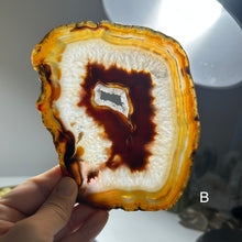 Load image into Gallery viewer, Top Quality Brazilian Agate Slice – Natural Banding, Warm Earth Tones &amp; Crystal Center
