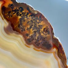 Load image into Gallery viewer, High quality- agate slice with stand from Brazil
