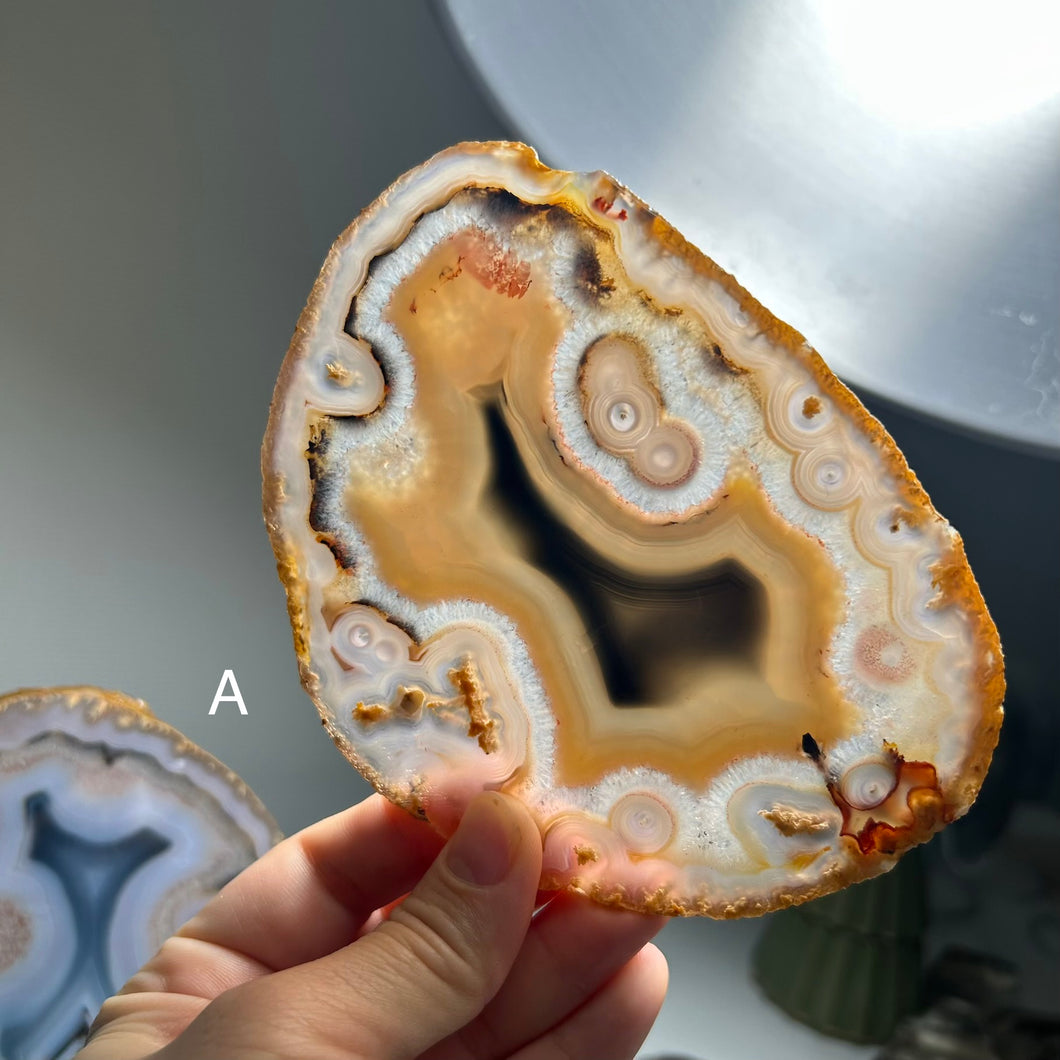 Top Quality Brazilian Agate Slice – Natural Banding, Blue Center & Artistic Patterns