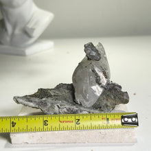 Load image into Gallery viewer, Calcite Crystal with Fluorite and Pyrite | Daye Mine China | Natural Mineral Specimen
