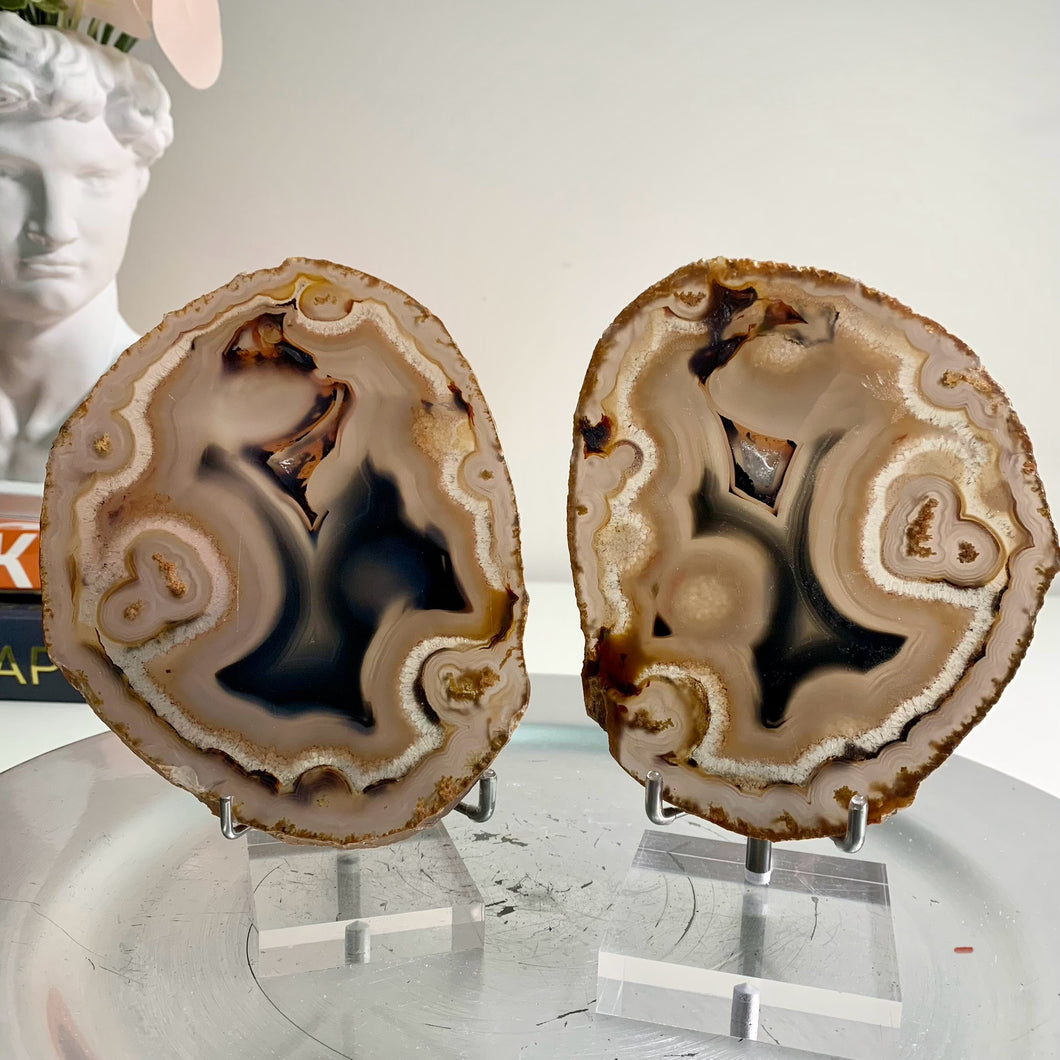 Rare - Brazilian agate slice pair / Brazilian agate slab pair