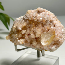 Load image into Gallery viewer, Pink Botryoidal Calcite Cluster with Honey Calcite Point
