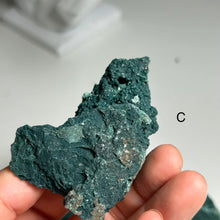 Load image into Gallery viewer, Marshy Botryoidal Chalcedony | Textured Green Chalcedony Crystal from India | Organic Bubble Form Mineral Specimen
