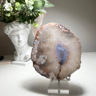 Large Blue & Pink Flower Agate Slice from Madagascar — Premium Crystal Slab with Floral Chalcedony Core