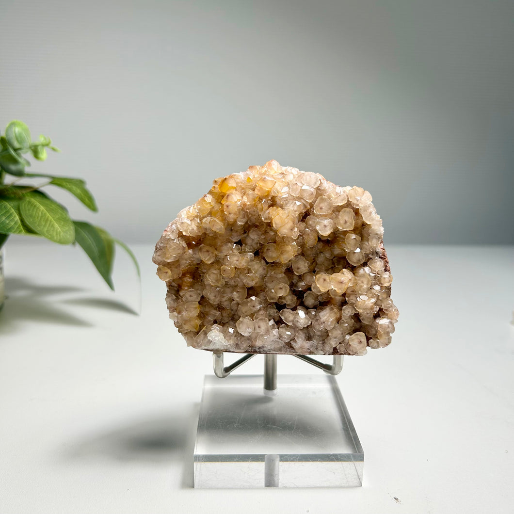 Golden Grape Calcite Cluster – Natural Botryoidal Calcite for Home Decor and Crystal Collection