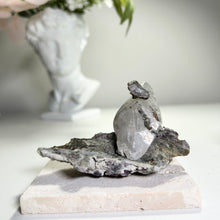 Load image into Gallery viewer, Calcite Crystal with Fluorite and Pyrite | Daye Mine China | Natural Mineral Specimen
