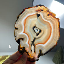 Load image into Gallery viewer, Top Quality Brazilian Agate Slice – Soft Orange Gradient &amp; Natural Druzy Center

