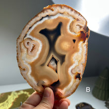 Load image into Gallery viewer, Top Quality Brazilian Agate Slice – Natural Banding, Blue Center &amp; Artistic Patterns
