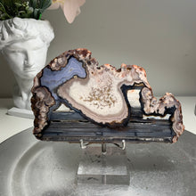 Load image into Gallery viewer, Top quality - blue flower agate slab/ slice ( natural color)
