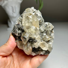 Load image into Gallery viewer, Rare - Top Quality Yellow Calcite on Matrix with Pyrite – Anhui, China

