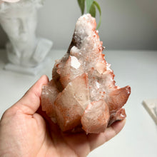 Load image into Gallery viewer, Red Dogtooth Calcite | Daye Mine, Hubei China | Natural Calcite Crystal Cluster
