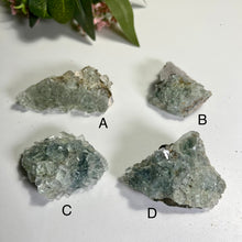 Load image into Gallery viewer, Glass Fluorite Crystal Cluster– Green Cubic Fluorite with Pyrolusite on Matrix
