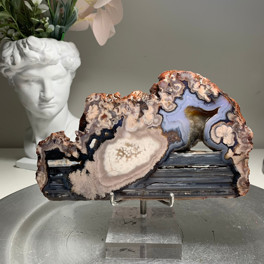 Top quality - blue flower agate slab/ slice ( natural color)