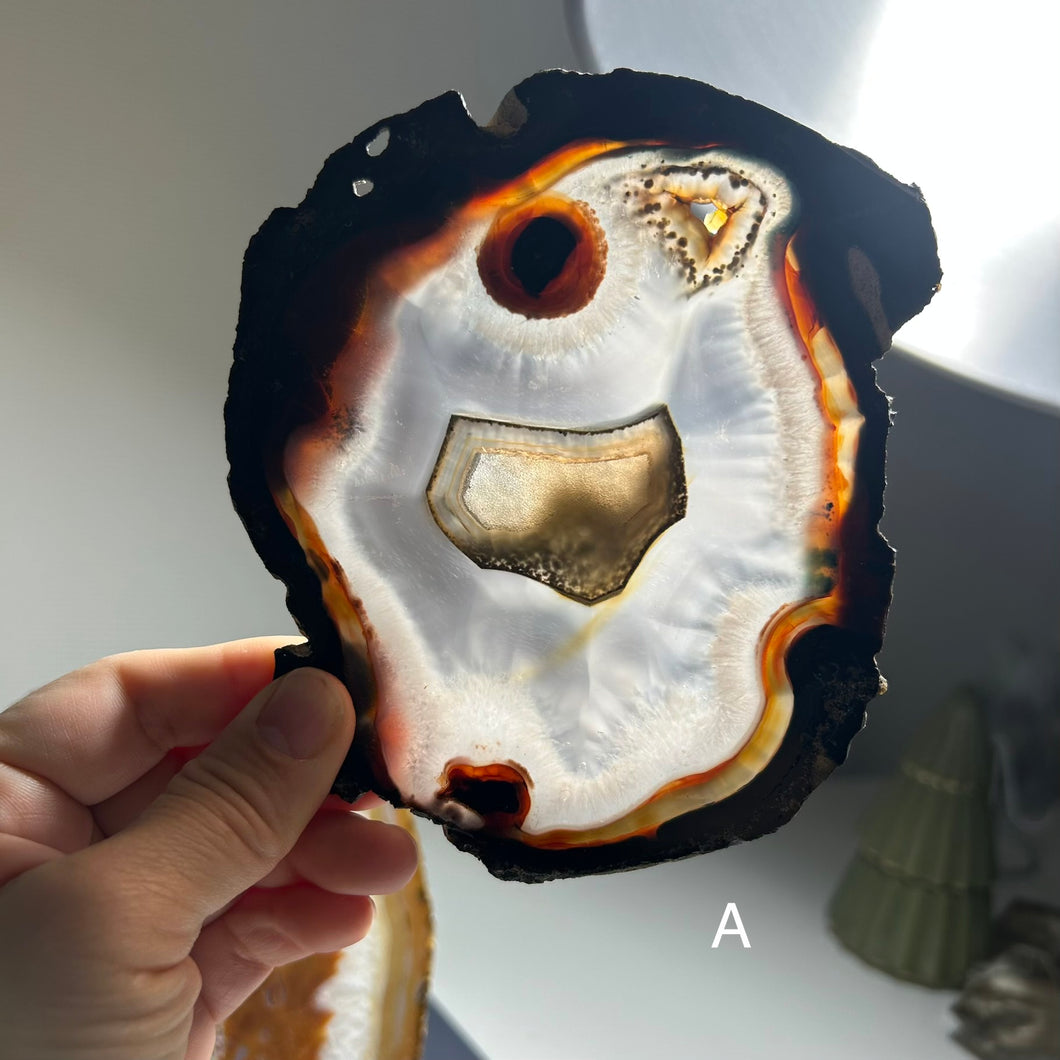 Top Quality Brazilian Agate Slice – Natural Banding, Warm Earth Tones & Crystal Center