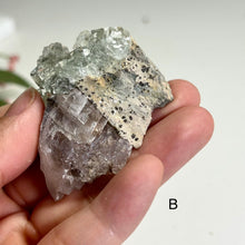 Load image into Gallery viewer, Glass Fluorite Crystal Cluster– Green Cubic Fluorite with Pyrolusite on Matrix
