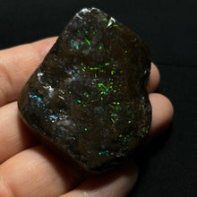 Load image into Gallery viewer, Natural Ammolite Fossil from Canada — Green &amp; Blue Iridescence | Genuine Ammonite Shell Slice
