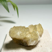 Load image into Gallery viewer, Dog-tooth Calcite Cluster in Soft Yellow — Natural Pointed Calcite Crystal for Home Decor &amp; Collection
