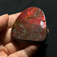 Load image into Gallery viewer, Premium Red Fire Ammolite Fossil from Canada — Gem-Grade Ammonite Slice with Deep Crimson Iridescence
