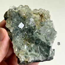 Load image into Gallery viewer, Glass Aquatic Fluorite on Matrix with Manganese Oxide – Natural Green Fluorite Crystal Specimen (A / B)
