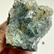 Load image into Gallery viewer, Glass Aquatic Fluorite on Matrix with Manganese Oxide – Natural Green Fluorite Crystal Specimen (A / B)
