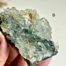Load image into Gallery viewer, Glass Aquatic Fluorite on Matrix with Manganese Oxide – Natural Green Fluorite Crystal Specimen (A / B)
