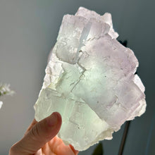 Load image into Gallery viewer, Large Natural Stepped Fluorite Cluster - High Clarity Bi-Color Fujian Crystal
