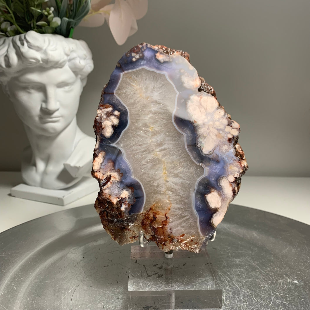 Top quality blue flower agate slab / slice ( natural color)