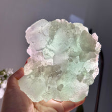Load image into Gallery viewer, Natural Stepped Fluorite - High Clarity Bi-color Green &amp; Purple Cubic Crystal Specimen
