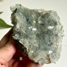 Load image into Gallery viewer, Glassy Green Fluorite on Matrix with Pyrolusite | Natural Mineral Specimen | Collector Display Stone
