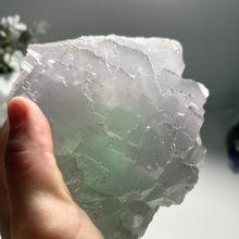 Load image into Gallery viewer, Natural Stepped Fluorite Cluster - High Clarity Bi-Color Fujian Crystal Specimen
