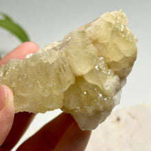 Load image into Gallery viewer, Dog-tooth Calcite Cluster in Soft Yellow — Natural Pointed Calcite Crystal for Home Decor &amp; Collection

