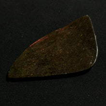 Load image into Gallery viewer, Premium Ammolite Fossil Slice from Canada — Vivid Red &amp; Green Fire Iridescence | Rare Gem-Grade Ammonite Shell
