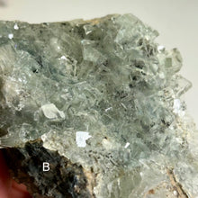 Load image into Gallery viewer, Glassy Green Fluorite on Matrix with Pyrolusite | Natural Mineral Specimen | Collector Display Stone
